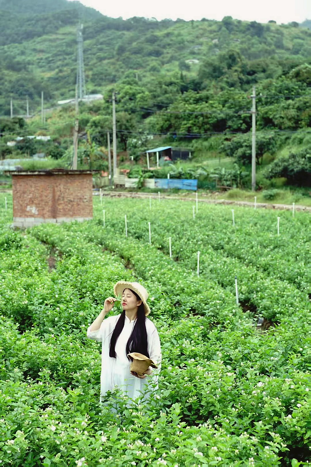 ZAOLI Ningbo botanical soap origin story