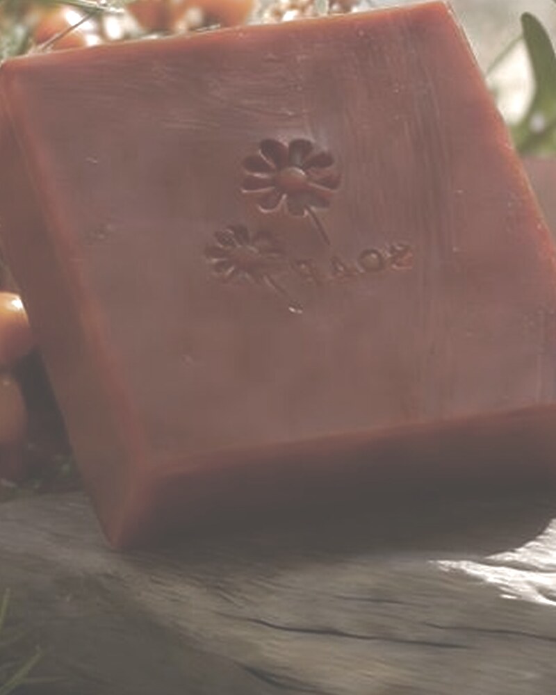 Sea Buckthorn 沙棘皂 cold-process soap by ZAOLI