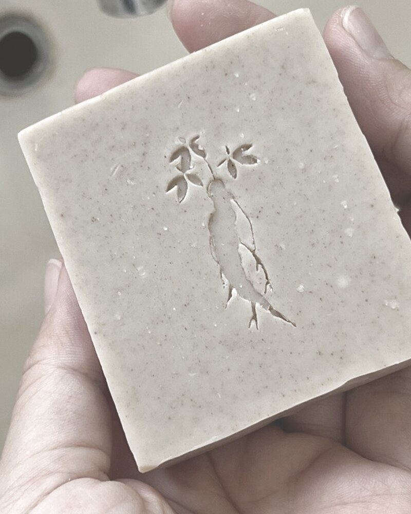 Sophora